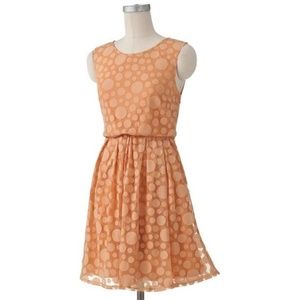 NWOT LC Lauren Conrad Dot Mesh Dress Sz 6